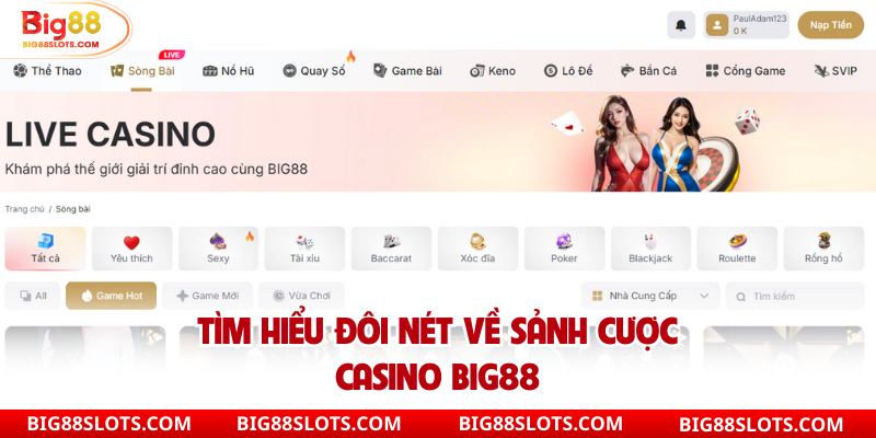 Tìm hiểu đôi nét về sảnh cược Casino Big88