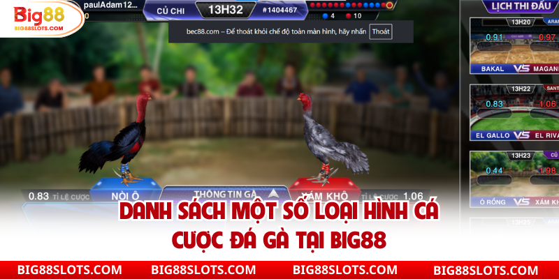 Danh sách một số loại hình cá cược đá gà tại Big88