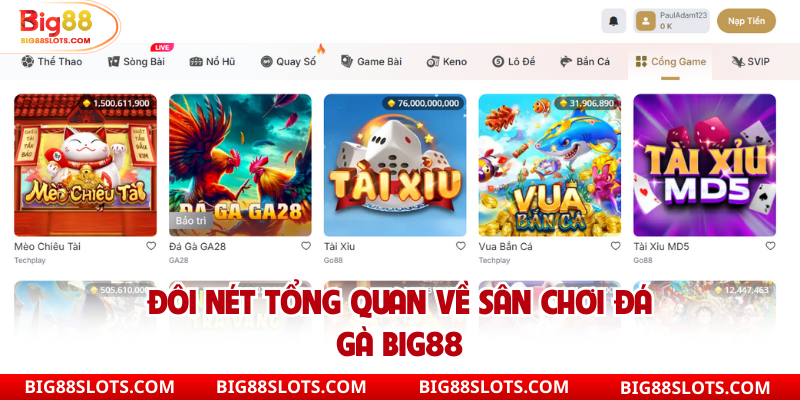 Đôi nét tổng quan về sân chơi đá gà Big88