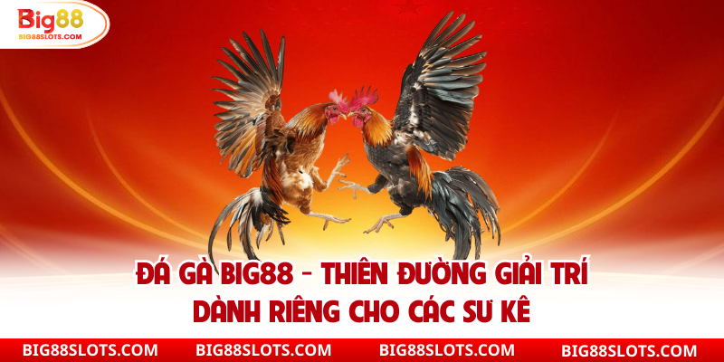 Đá gà big88 thiên đường giải trí sôi động