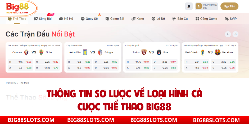 Thông tin sơ lược về loại hình cá cược thể thao Big88